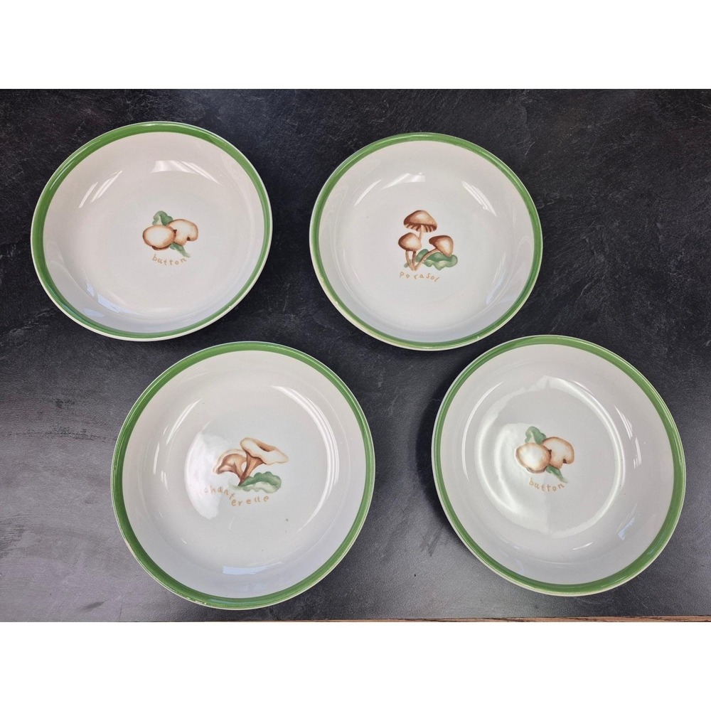 Pottery Barn Mushroom Pasta Soup Bowls Set 4 Rare Made Italy Botanical Ceramic